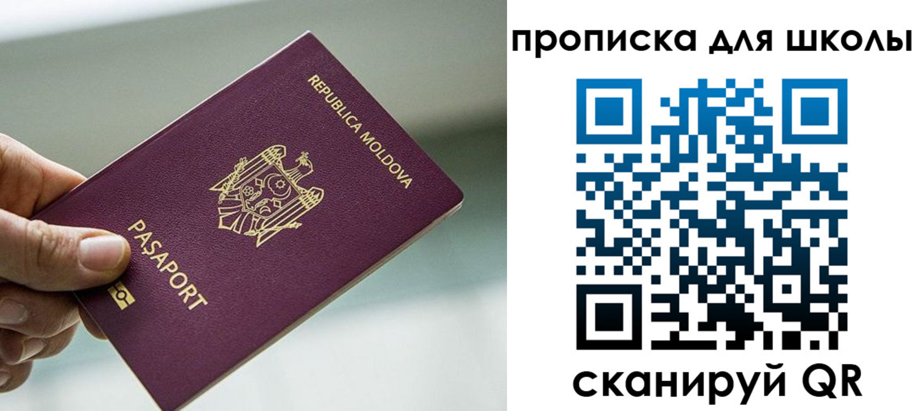 прописка в квартире в Ермолино